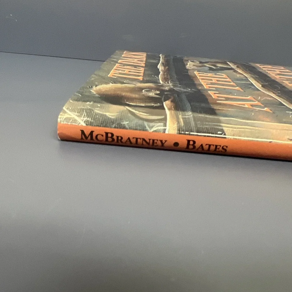 The Dark at the Top of the Stairs - McBratney, Sam New hardcover 1996 Ivan Bates